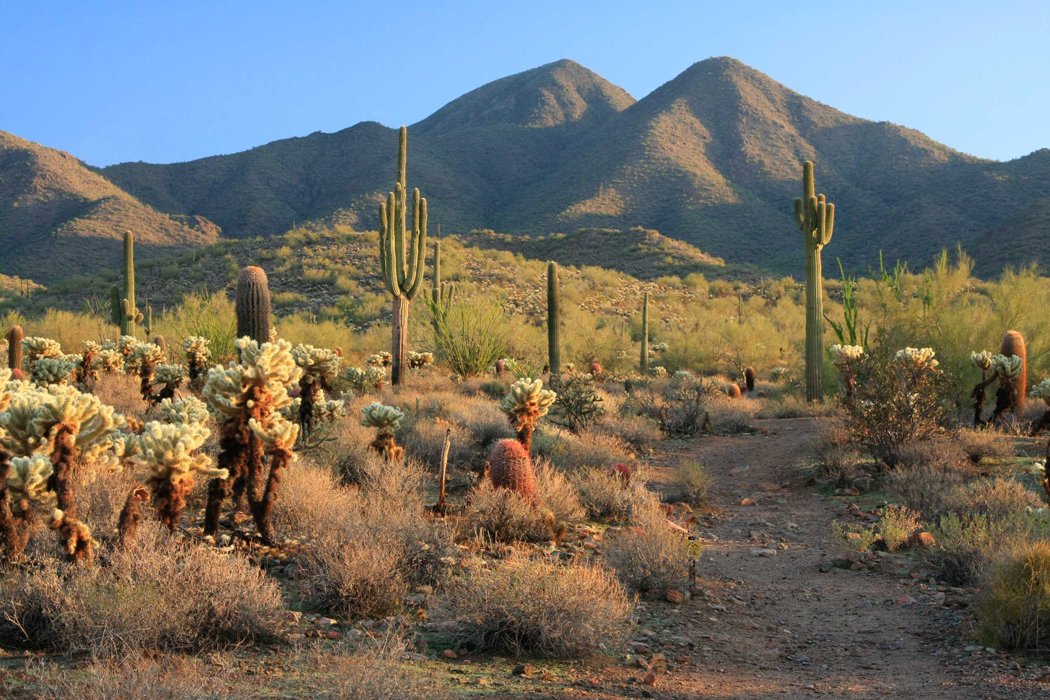 Scottsdale Studios Table Events